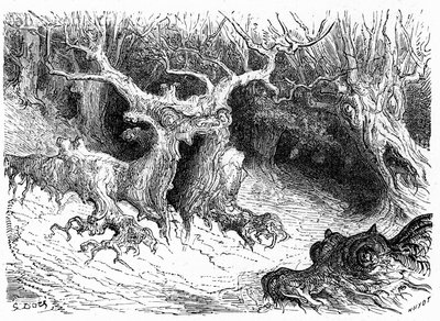 Haya monstruosa en el valle de Ossau, árboles monstruosos antropomorfos. Grabado de Gustave Dore que ilustra el libro "Voyage aux Pyrénées d