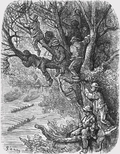 Posado en los árboles de Gustave Dore