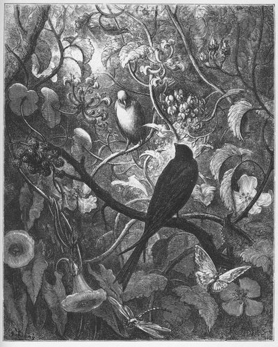 Filomela y Progne - de "Fábulas" de Jean de La Fontaine de Gustave Dore