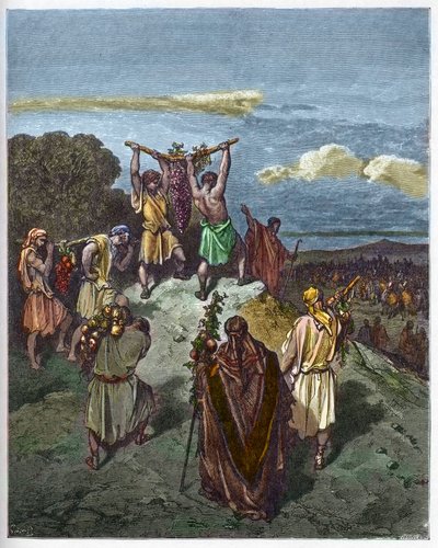 Regreso de la tierra de Canaán - El regreso de Josué y Caleb con un enorme racimo de uvas de la tierra de Canaán (Tierra Prometida) - grabado en “La Biblia ilustrada” por Gustave Doré (1832-1883) - Grabado de “La Biblia de Doré” de Gustave Dore