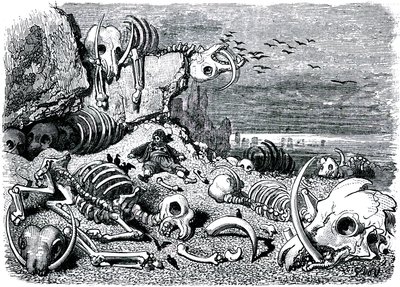 Sindbad el marino (Simbad) - cuento de las mil y una (1001) noches - ilustración de Gustave Dore - edición Maxwell 1865 - Séptimo y último viaje: el cementerio de los elefantes donde Sindbad recuperará las defensas de marfil. de Gustave Dore