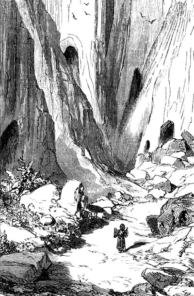 Sindbad el marino (Simbad) - cuento de las mil y una (1001) noches - ilustración de Gustave Dore - edición Maxwell 1865 - Segundo viaje: Sindbat descubre un valle con diamantes, pero que desgraciadamente está ocupado por serpientes gigantes. Tomará refu de Gustave Dore