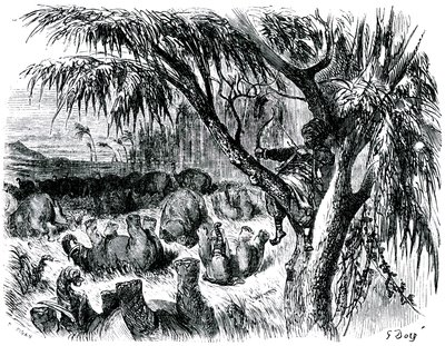 Sindbad el marino (Simbad) - cuento de las mil y una (1001) noches - ilustración de Gustave Dore - edición Maxwell 1865 - Séptimo viaje: Sindbad, encaramado en un árbol, tira con su arco de los elefantes de Gustave Dore