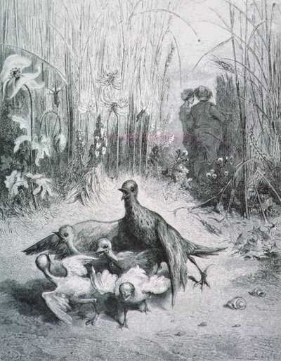 La Fábula de la Alondra, sus crías y el amo del campo, ilustración para las Fábulas de La Fontaine de Gustave Dore