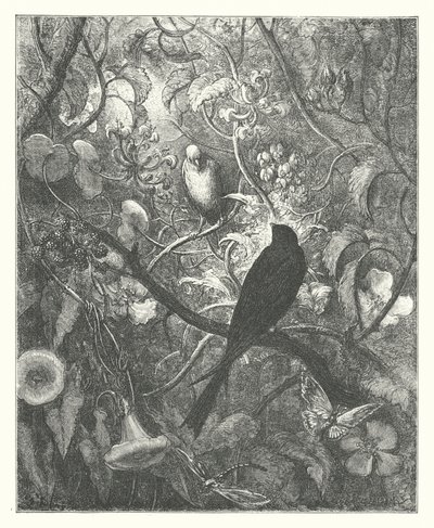 Las Fábulas de La Fontaine: Philomel y Progne (grabado) de Gustave Dore