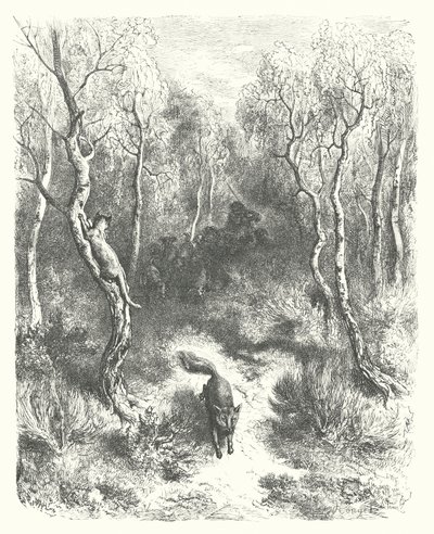 Las Fábulas de La Fontaine: El gato y la zorra (grabado) de Gustave Dore