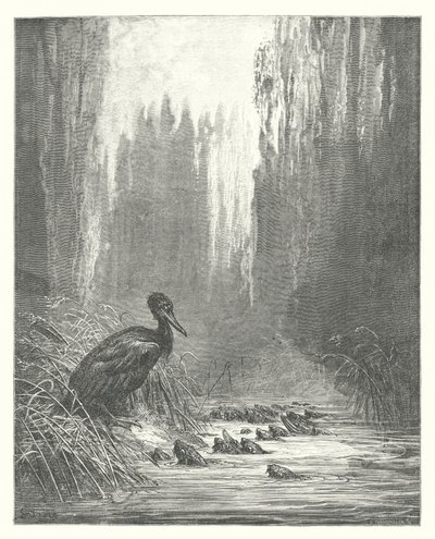 Las Fábulas de La Fontaine: El cormorán y los peces (grabado) de Gustave Dore