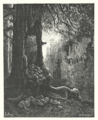Las Fábulas de La Fontaine: La lechuza y los ratones (grabado) de Gustave Dore