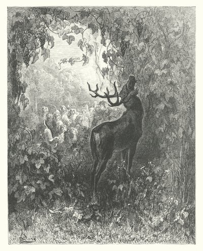 Las Fábulas de La Fontaine: El ciervo y la vid (grabado) de Gustave Dore