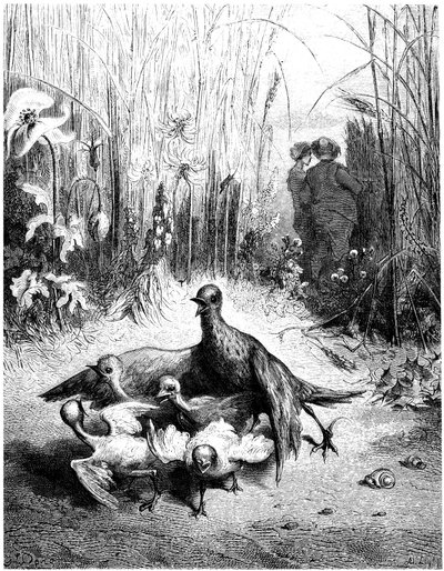 La alondra y su cría con el amo de un campo: fábula de Jean de la Fontaine ilustrada por Gustave Dore - aves - de Gustave Dore