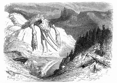 Grabado de Gustave Dore hacia 1850: evocación de un diluvio apocalíptico tras el cual varios animales monstruosos han caído sobre la montaña. Ilustración del libro de Hippolyte Taine "Viaje a los Pirineos", en el que la presencia de huesos fósiles de Gustave Dore