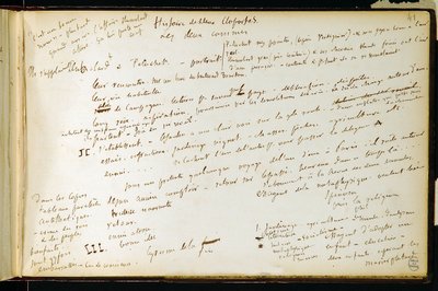Folio 41 del cuaderno n. 19 Página manuscrita de los borradores de Gustave Flaubert. Planes para Bouvard y Pecuchet. BHVP. de Gustave Flaubert