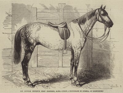 El caballo gris de Sir George Brown, Alma de Gustave Janet