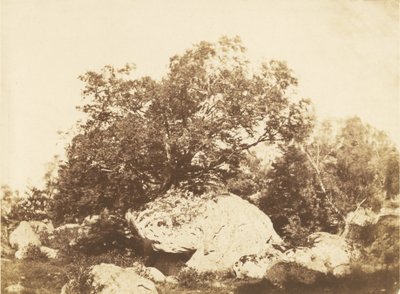 Boulder en Cabat, Cruce de Epine Bosque de Fontainebleau de Gustave Le Gray