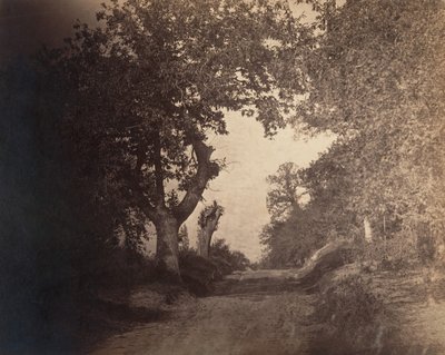 Fontainebleau, camino arenoso ascendente, ca. 1856 de Gustave Le Gray