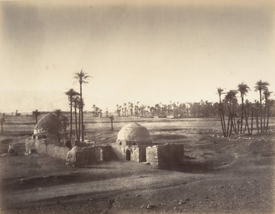Vista de la Llanura de Tebas tomada desde el templo de Karnak de Gustave Le Gray