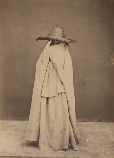 Algerian Woman de Gustave de Beaucorps