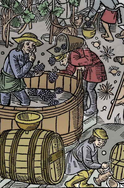 Cosecha - vendimia - Calendario del pastor - Los trabajos de los meses - Octubre - Xilografía del libro de 1496 impreso por Guy Marchant en Troyes - Grabado en madera en "Le grand Calendrier et compost des shepherds" - La cosecha de Guy Marchant