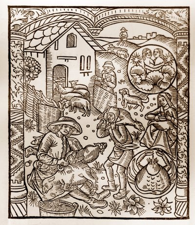 Calendario del pastor - Los trabajos de los meses - Junio - Xilografía del libro de 1496 impreso por Guy Marchant (Guido Mercator) en Troyes - Grabado en madera en “Le grand Calendrier et compost des shepherds” de Guy Marchant