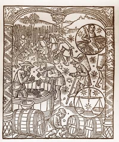 Calendario del pastor - Los trabajos de los meses - Octubre - Xilografía del libro de 1496 impreso por Guy Marchant (Guido Mercator) en Troyes - Grabado en madera en "Le grand Calendrier et compost des shepherds" - La cosecha - y los signos del zodiaco: el de Guy Marchant