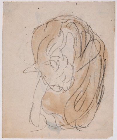 Estudios sobre gatos (acuarela con lápiz sobre papel) de Gwen John