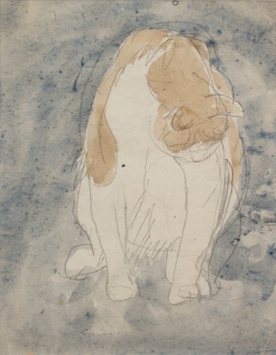 Estudio de un gato, c. 1910-20 (acuarela y lápiz de grafito sobre papel) de Gwen John