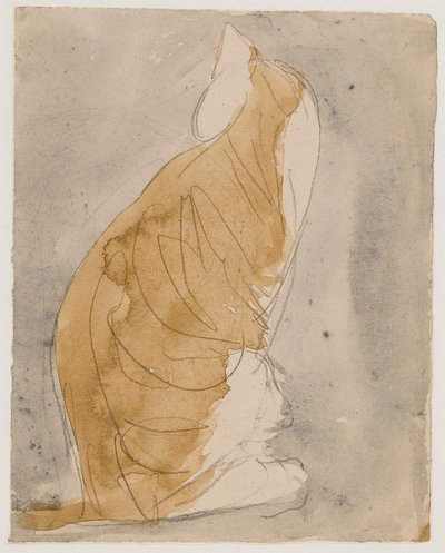 Estudio de un gato (acuarela y lápiz sobre papel) de Gwen John