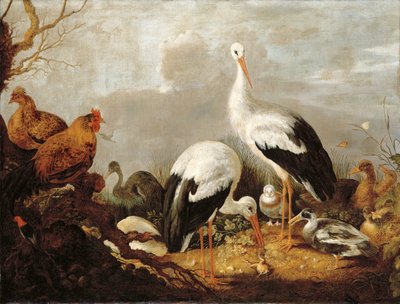 Cigüeñas, ánades reales, gallinas, una garza, una rana y otras aves en un paisaje fluvial de Gysbert Hondecoeter