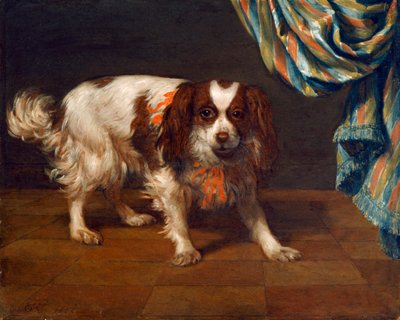 Un King Charles Spaniel (óleo sobre tabla) de Gysbert van de Kuyl
