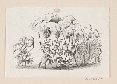 Ilustración para "Las flores de la pequeña Ida" en H.C. Andersen, "Cuentos y Historias", Volumen 1 de H.P. Hansen