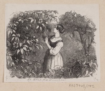 Ilustración para "Una Hoja del Cielo" en H.C. Andersen, "Cuentos y Historias", Volumen 2 de H.P. Hansen