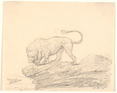 Un león en una roca. Está mirando a un pájaro que vuela cerca de H.W. Bissen