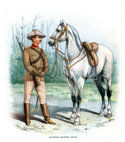 Rifles montados victorianos, c1890 de H. Bunnett