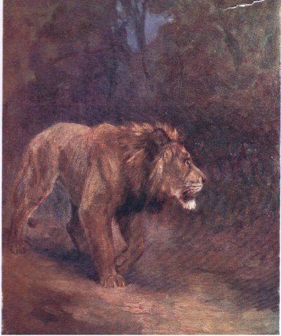 Un león en el bosque africano de H. Dixon