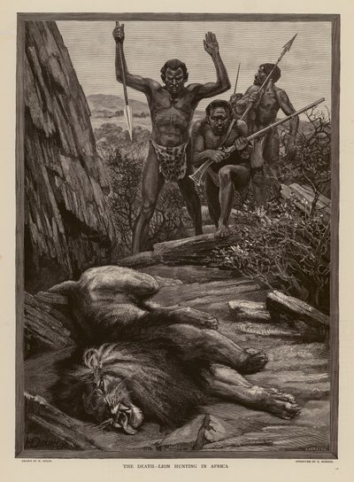 Caza del león en África (grabado) de H. Dixon