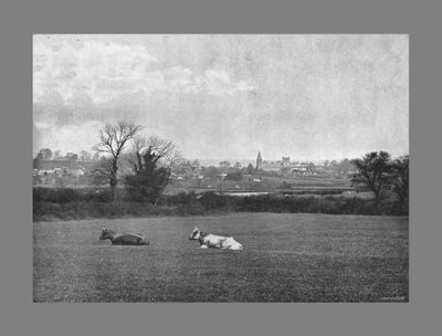 Southwell de H. J. Bliss