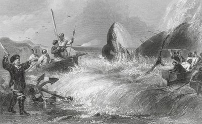 La ballena en la orilla (grabado) de H. Melville
