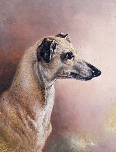 Cabeza de un galgo de H. Morley Park