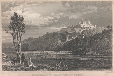 Castillo de Coltman, Co. Cork; página 70 (Volumen Uno) de H. Winkles