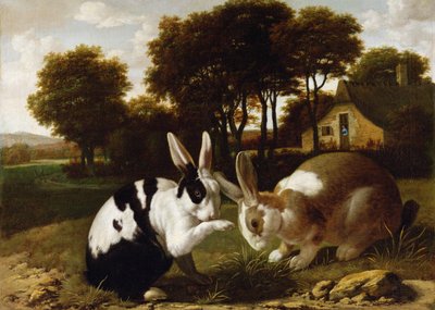 Dos conejos en un paisaje, c.1650 de Haarlem School