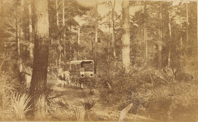 Escena en Folly Island de Haas and Peale