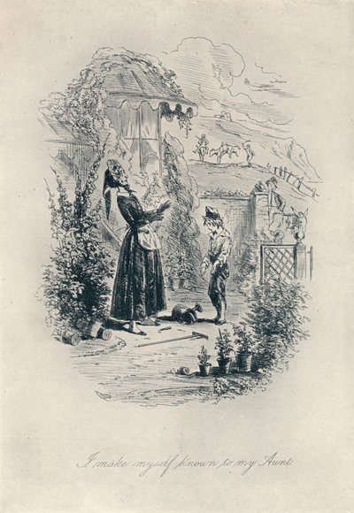 Me doy a conocer a mi tía. Grabado de David Copperfield, c1840-1880, 1923 de Hablot Knight Browne