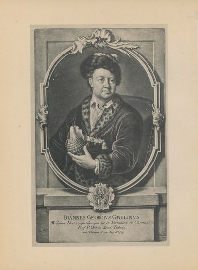 Retrato del naturalista, botánico y geógrafo Johann Georg Gmelin 1709-1755, mediados del siglo XVIII de Haid