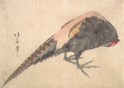 Pájaro, 1830s de Hakusanjin Hokui