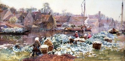 Coliflores para encurtir de Hamilton Macallum