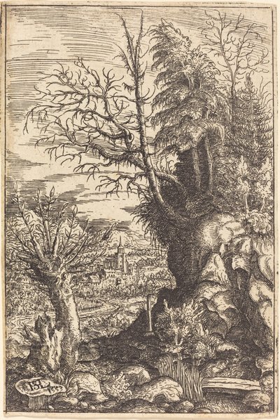 Paisaje con un Sauce de Hanns Lautensack