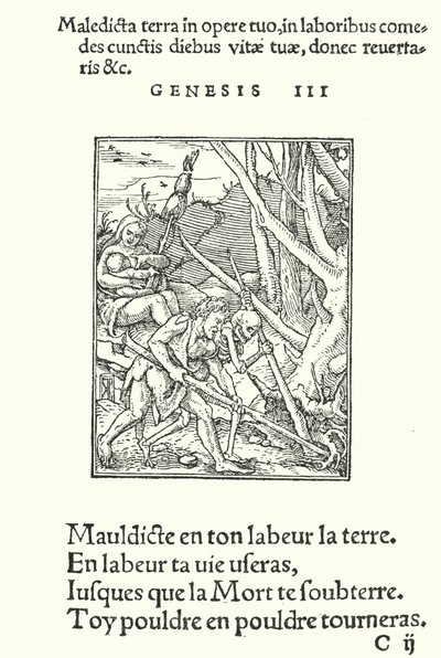 La maldición sobre la Tierra y el Hombre de Hans (after) Holbein the Younger