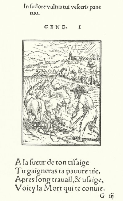 El Labrador, o Granjero de Hans (after) Holbein the Younger