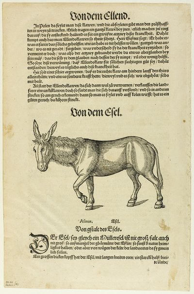 Ilustración de "Thierbuch", lámina 42 de Xilografías de libros del siglo XVI de Hans Asper