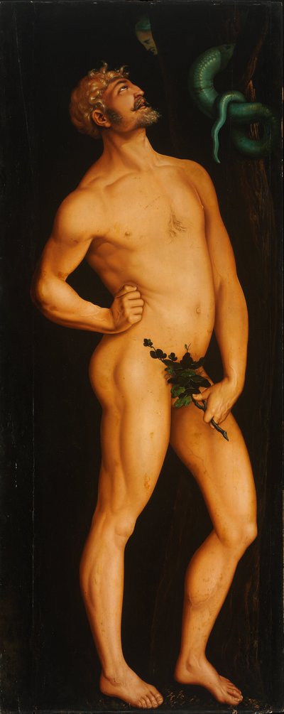 Adán de Hans Baldung